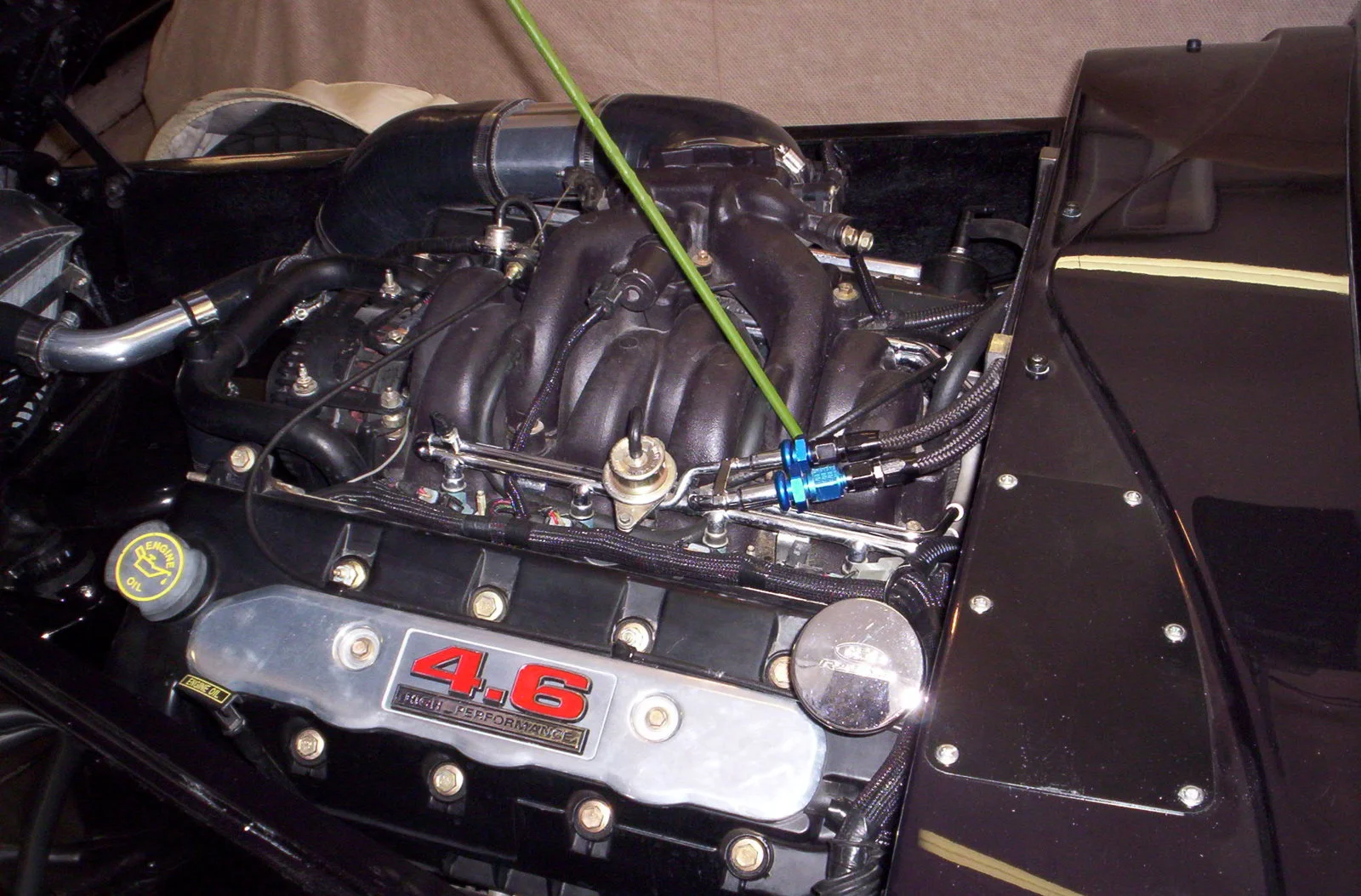 100_9101.webp
