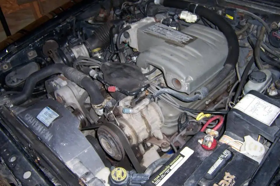 100_9362.webp