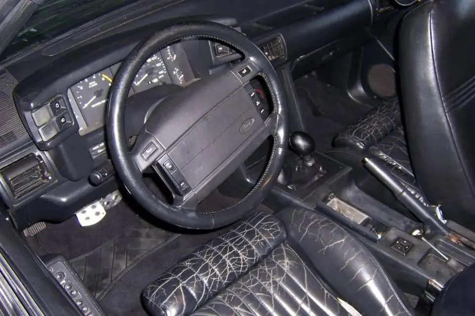 100_9369.webp