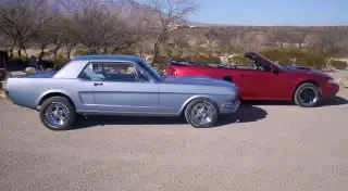 100_9502.webp