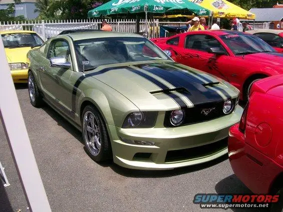 100_9753.webp