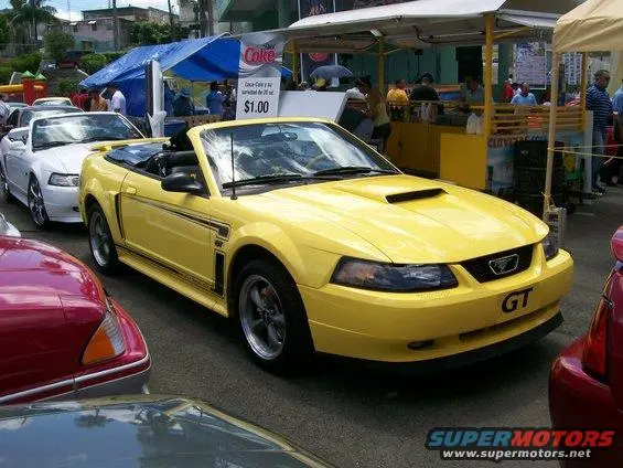 100_9763.webp