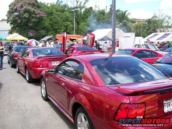 100_9764.webp