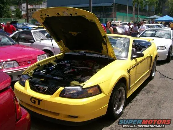 100_9765.webp