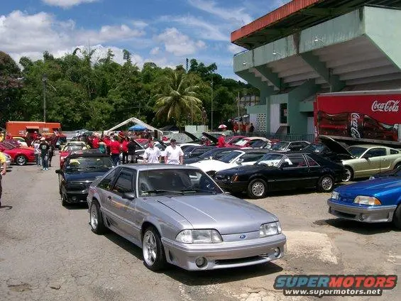 100_9768.webp
