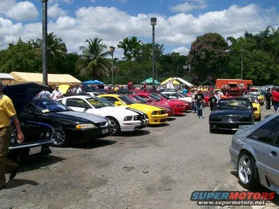 100_9769.webp