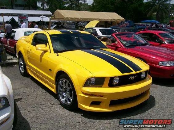 100_9771.webp