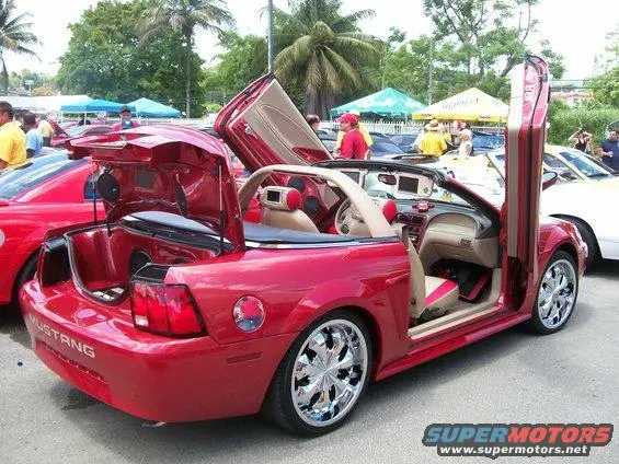 100_9774.webp