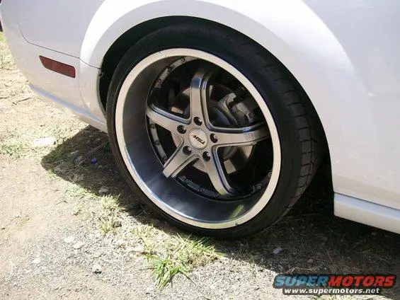 100_9815.webp