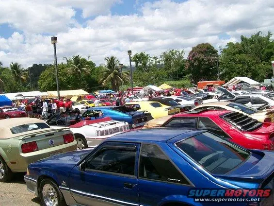 100_9816.webp