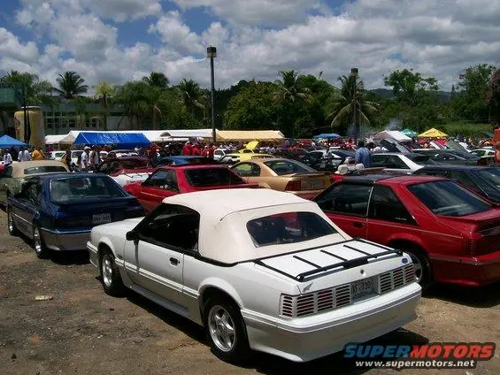 100_9817.webp