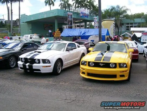 100_9819.webp