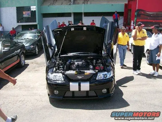 100_9840.webp