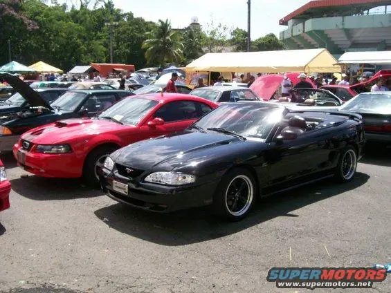 100_9859.webp
