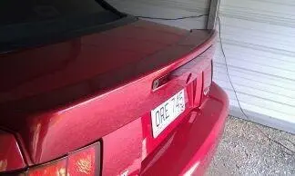 100MEDIA95IMAG0079.webp