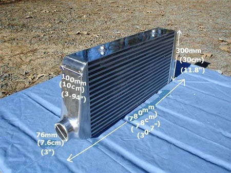 100mmic1.webp