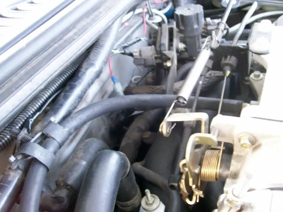 101_0258.webp