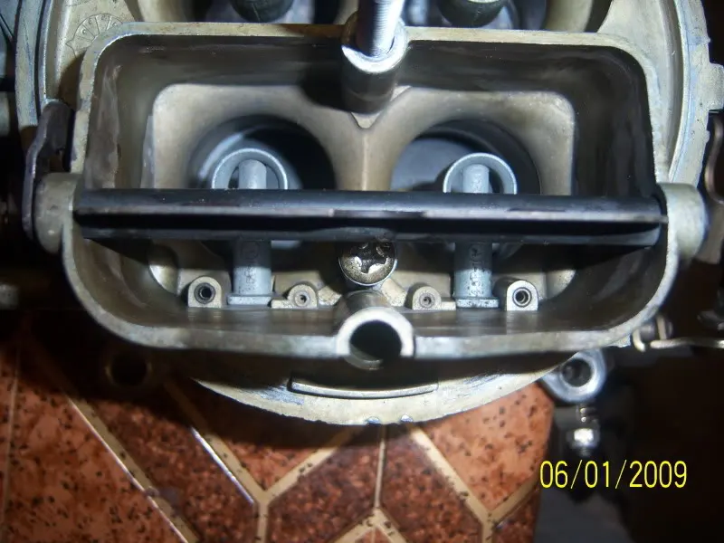 101_0294.webp