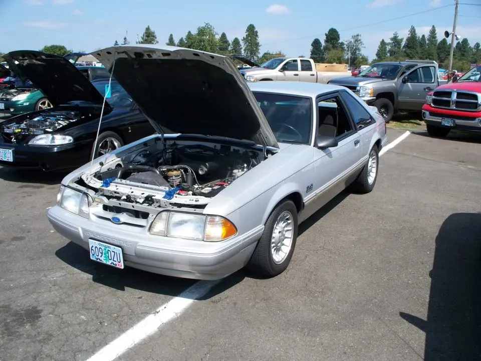 101_0354.webp