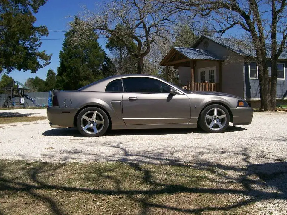 101_0454.webp
