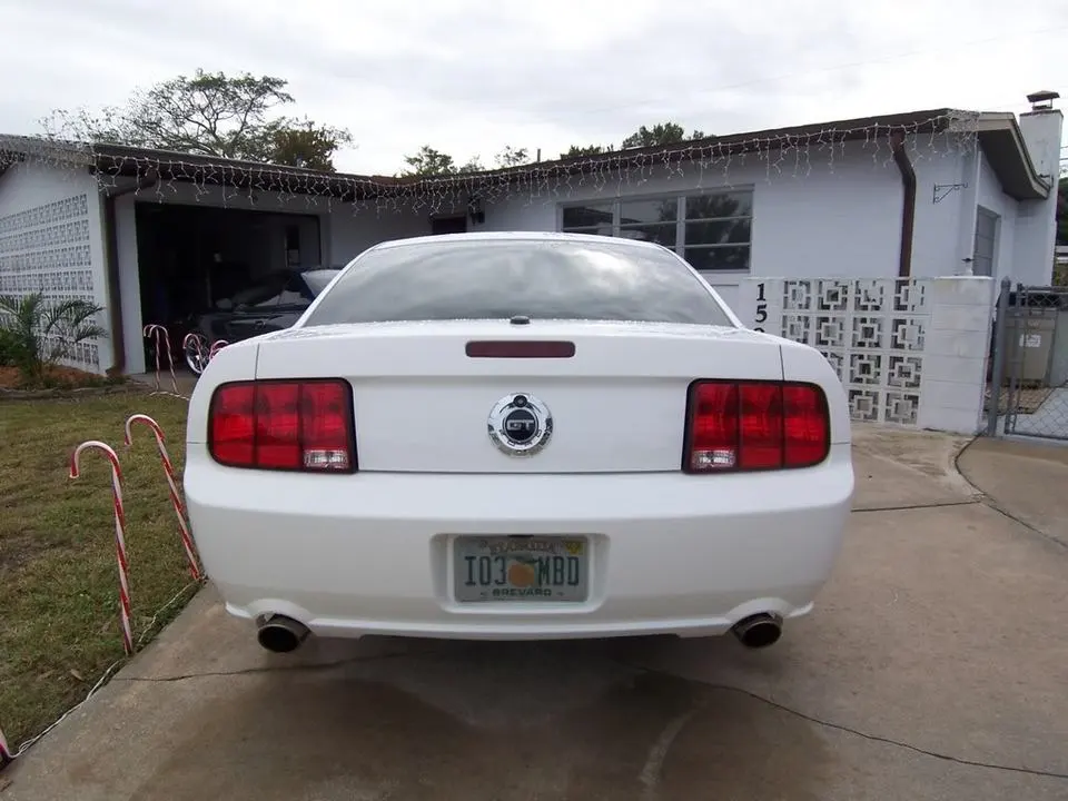 101_0652.webp