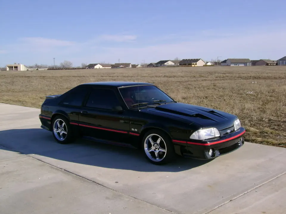 101MSD-DSC00057_DSC00057.webp