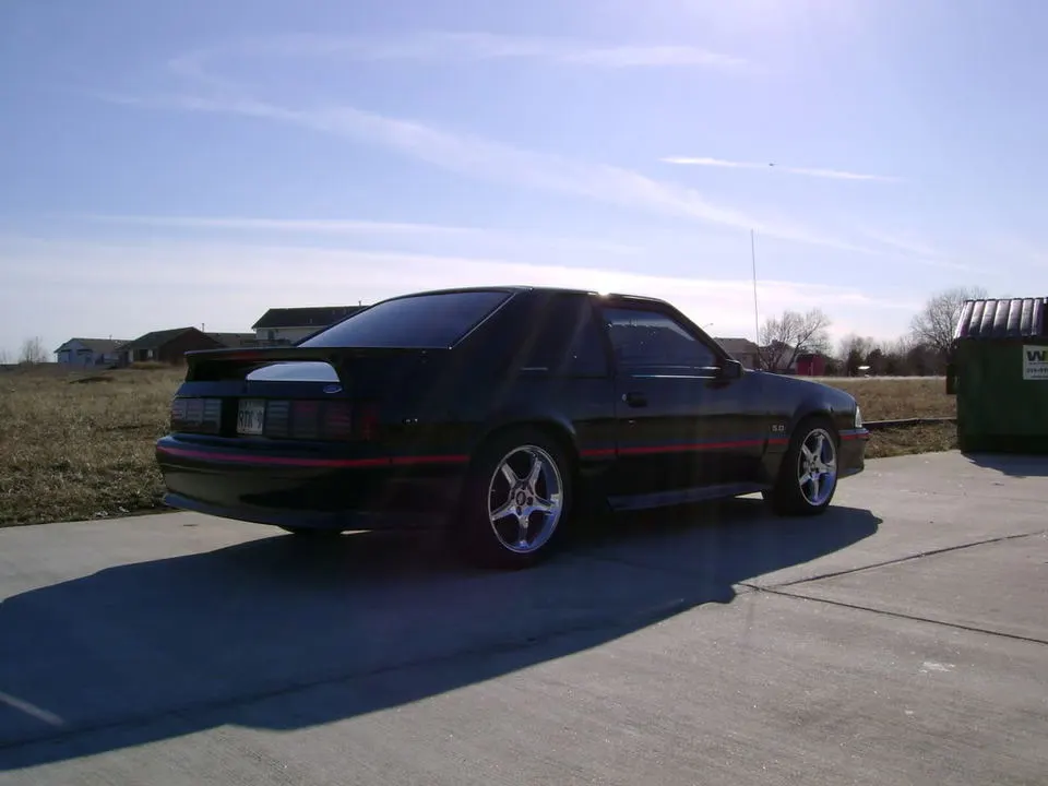 101MSD-DSC00058_DSC00058.webp