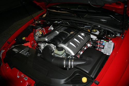 1022607413_fd1c6ea334.webp