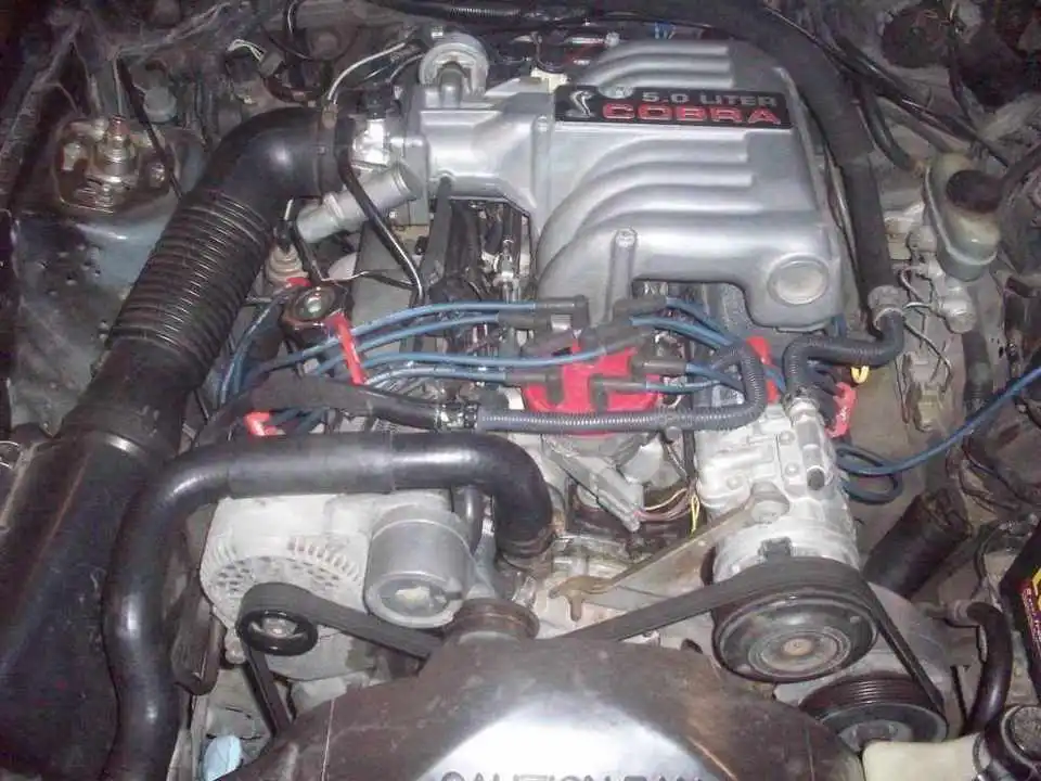 102_0859.webp