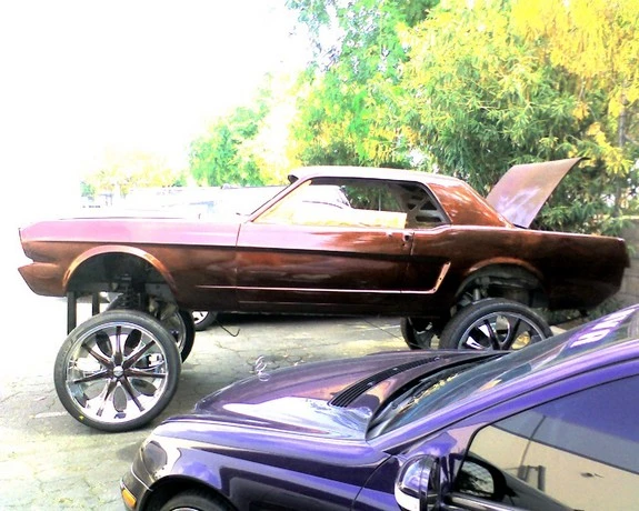 103780d1278426395-ugly-mustang-contest-2934764_5_full.webp