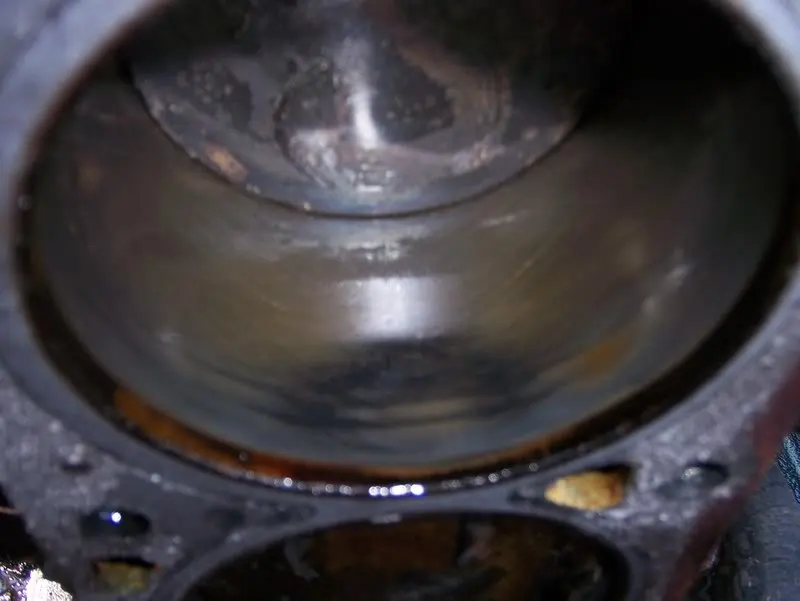 104_0815.webp