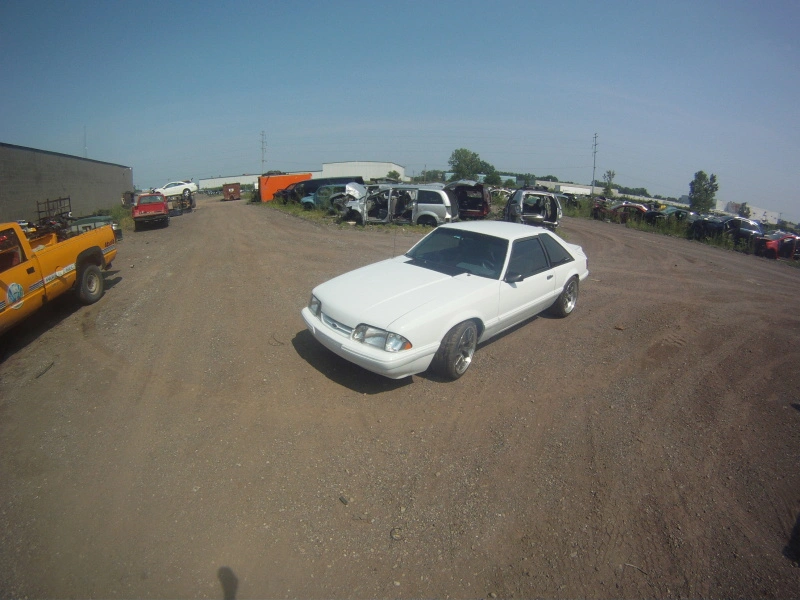 107.webp
