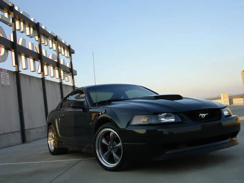 11-25-06Pics028.webp