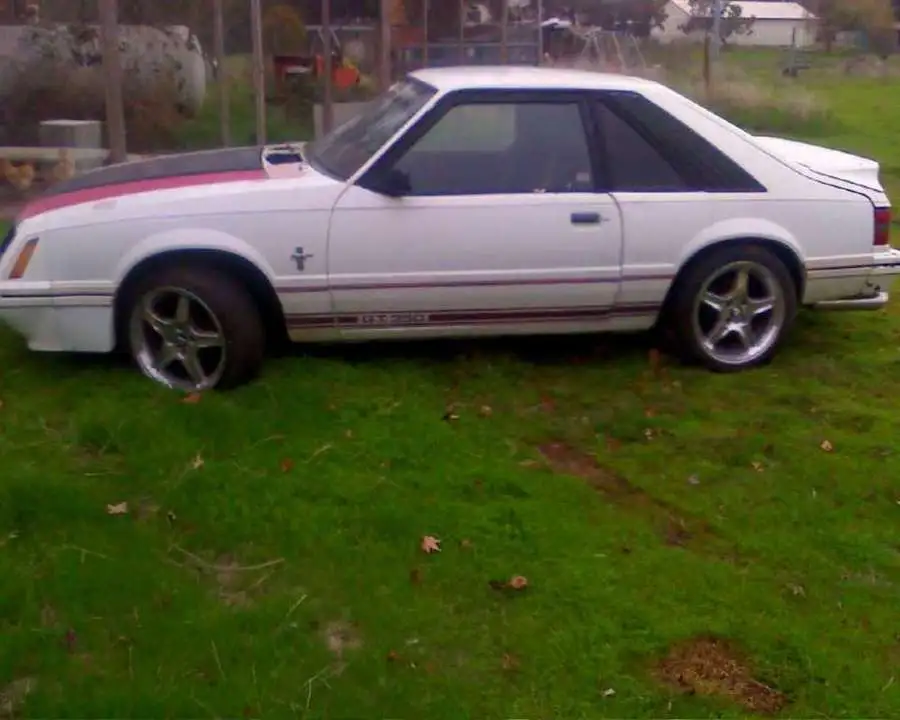 11-25-08_car-1.webp