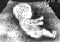 114617480441db292c86caf.gif