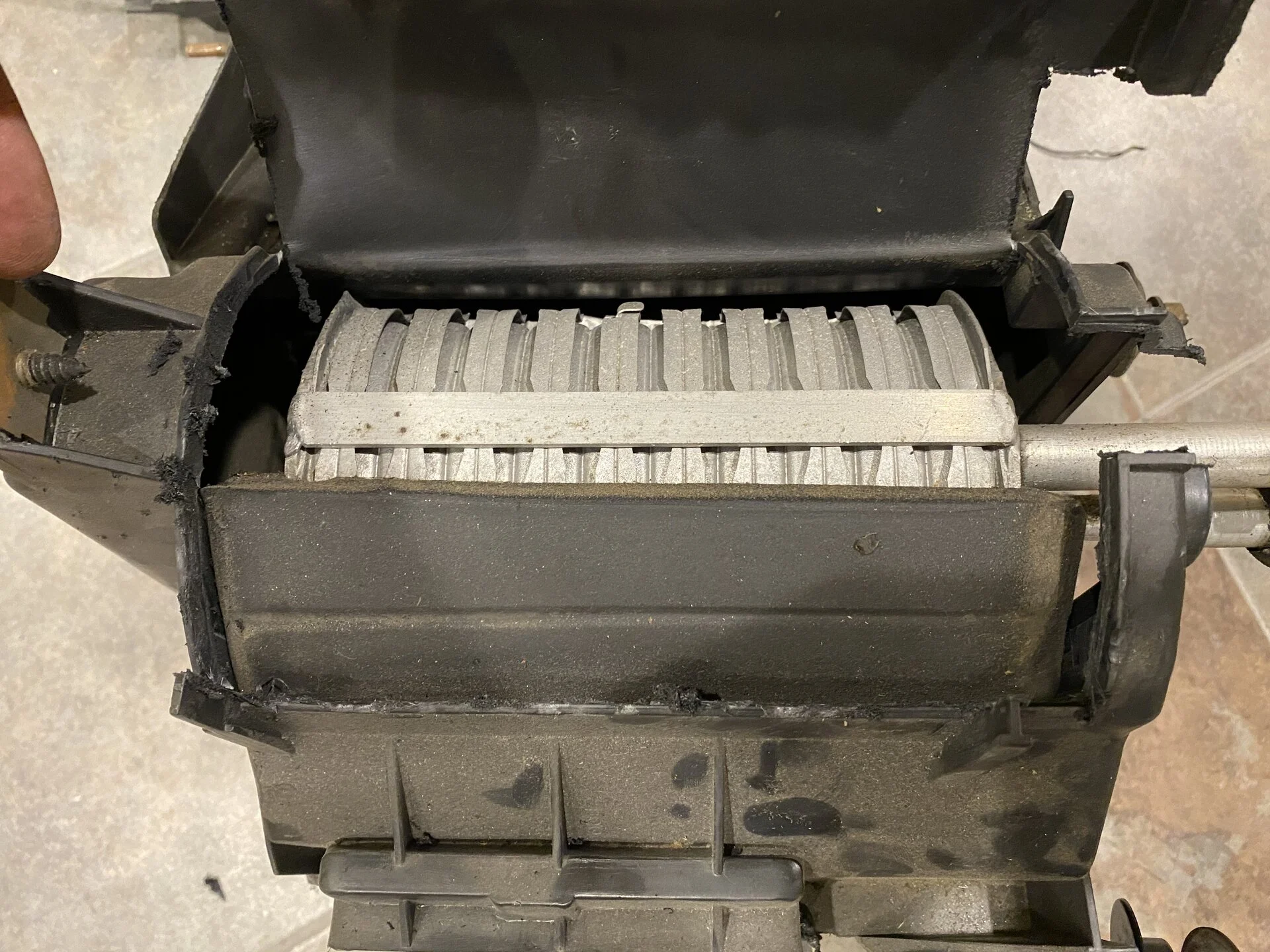 11CEC3BA-9CD6-4F52-BD97-6DC495C3AB65.webp