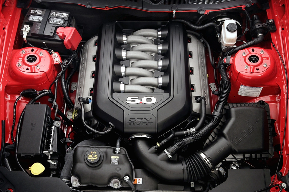 11mustang_50l_12_hr.webp