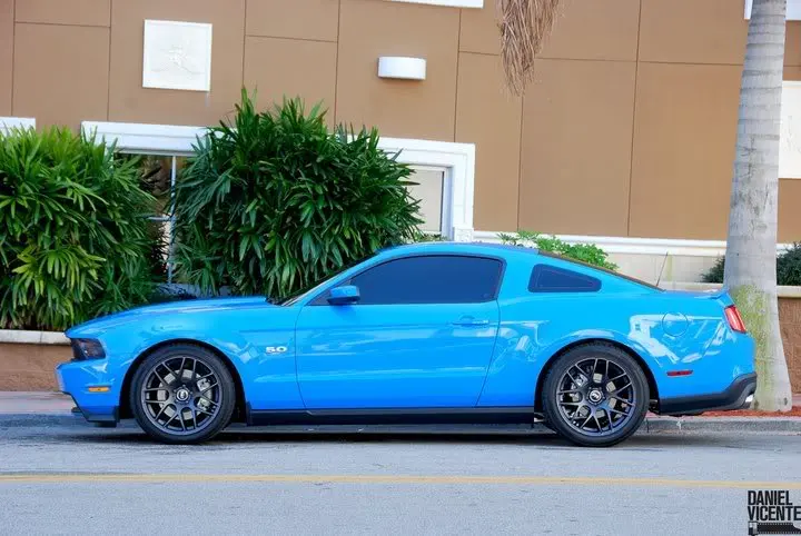 11stang.webp