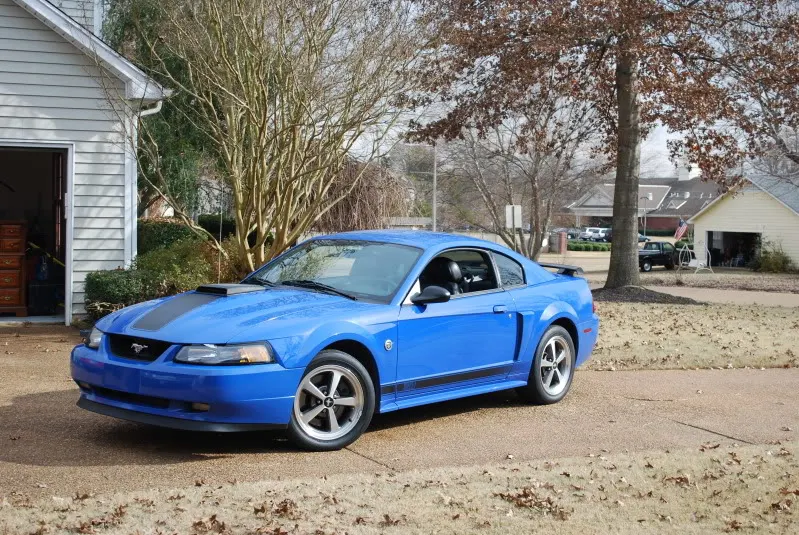 12-6-09004.webp