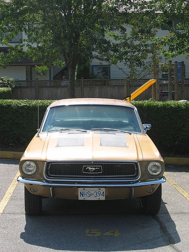 1211963636_1f67716372.webp