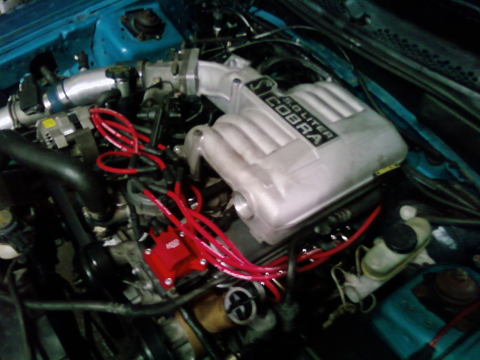 1226120830-01.webp