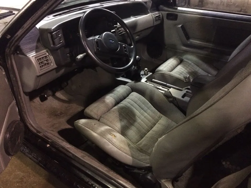 12308801_10156290819095383_6677344959715843556_n.webp