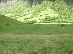 1239960666_bike-tournament.gif