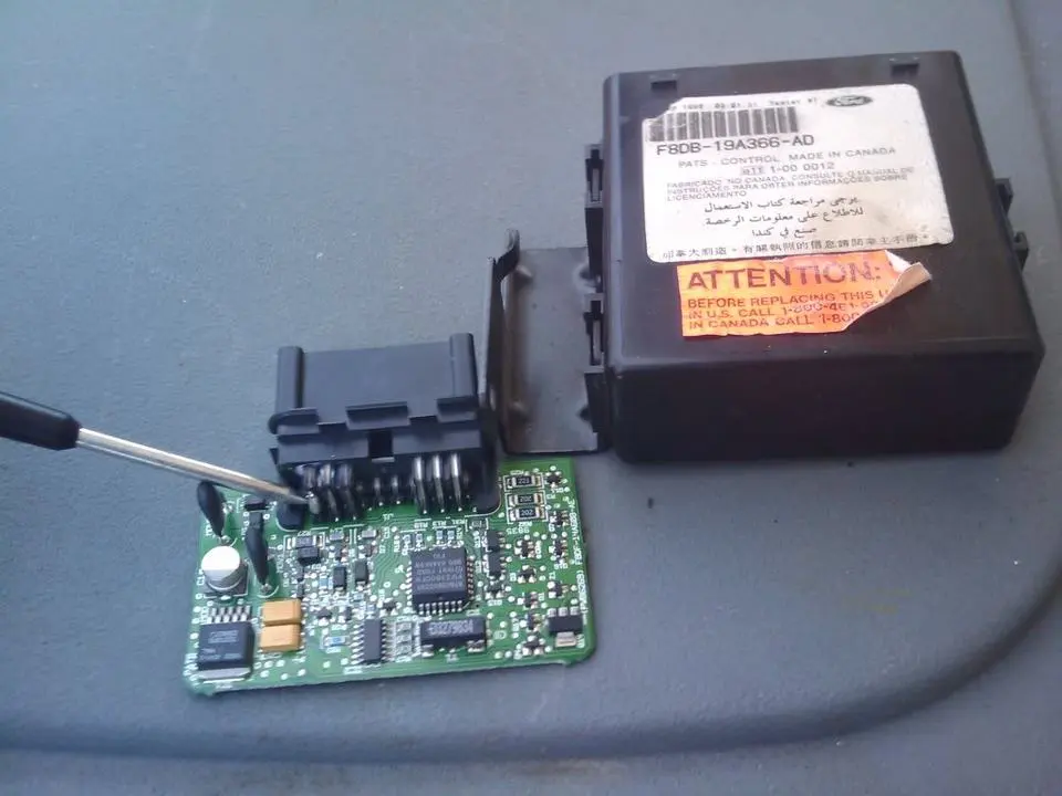 1280145331.webp