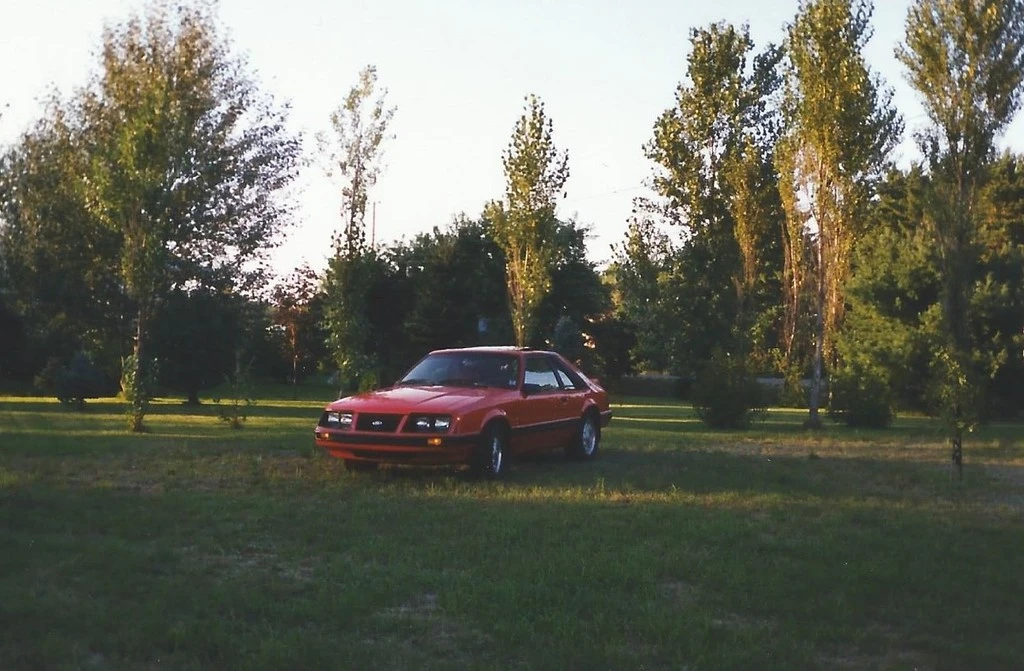 12815-project-cheap-thrills-mustang_zpsksw96ufr.webp