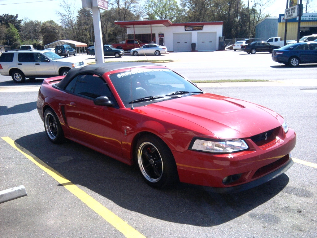 128533d1303762544-my-1999-mustang-cobra-pics-0325111451.webp