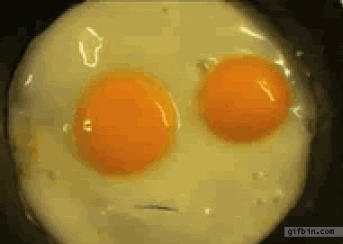 1314011768_talking_fried_egg_zps0d7d1a55.gif