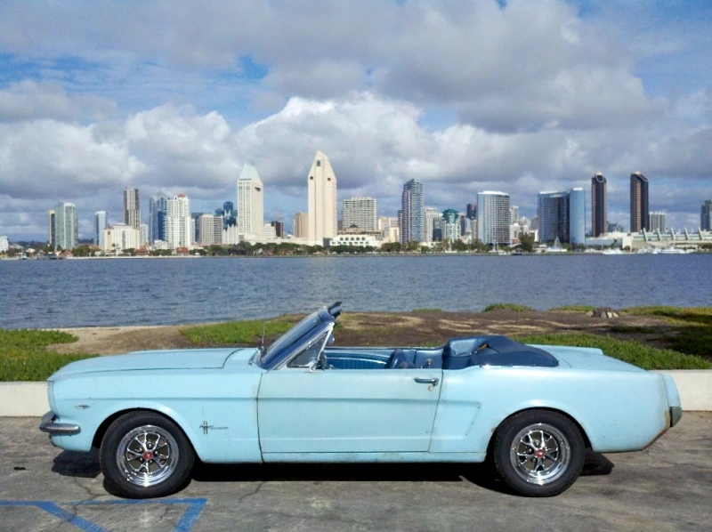 131421411.6E5LLbRe.Mustang.webp