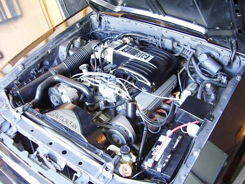 145675580_qAKcC-L.webp