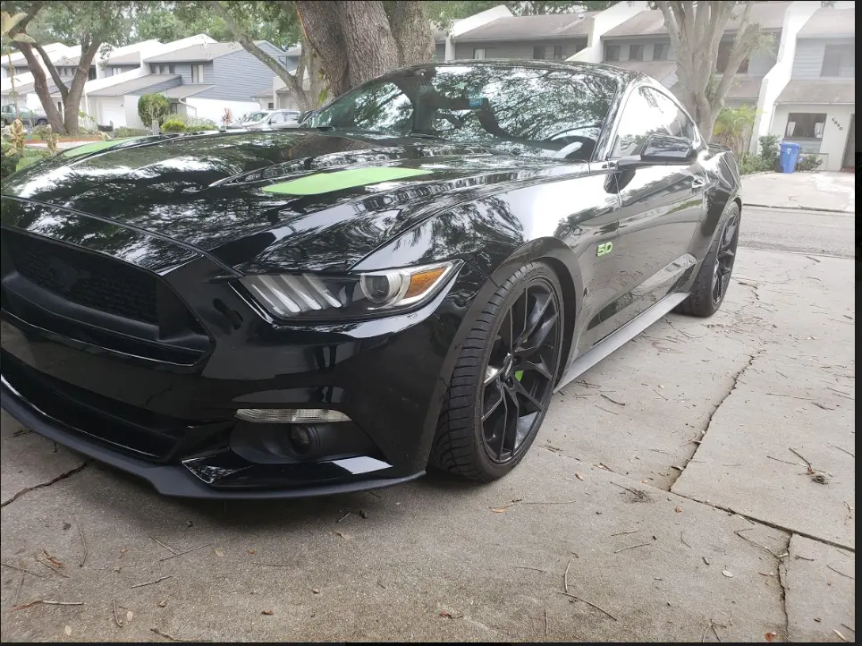 16 GT.webp